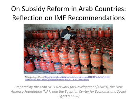 On Subsidy Reform in Arab Countries: Reflection on IMF Recommendations Prepared by the Arab NGO Network for Development (ANND), the New America Foundation.