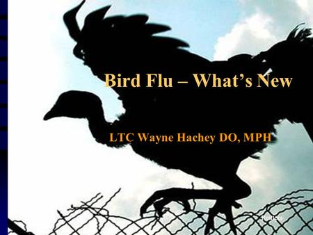 Bird Flu – What’s New LTC Wayne Hachey DO, MPH Reuters.