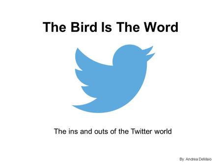 The Bird Is The Word The ins and outs of the Twitter world By: Andrea DeMaio.