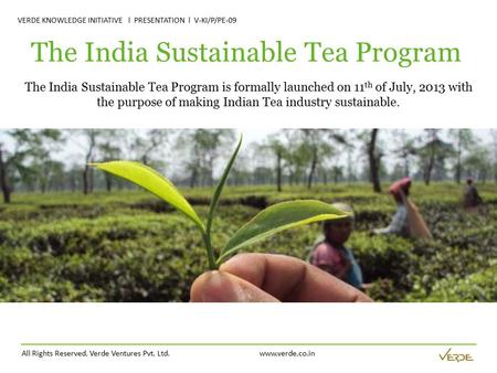 All Rights Reserved. Verde Ventures Pvt. Ltd. www.verde.co.in VERDE KNOWLEDGE INITIATIVE l PRESENTATION l V-KI/P/PE-09 The India Sustainable Tea Program.