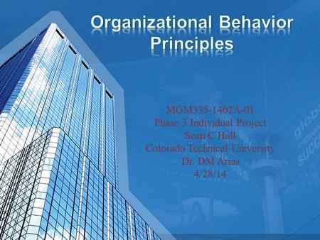 Organizational Behavior Principles