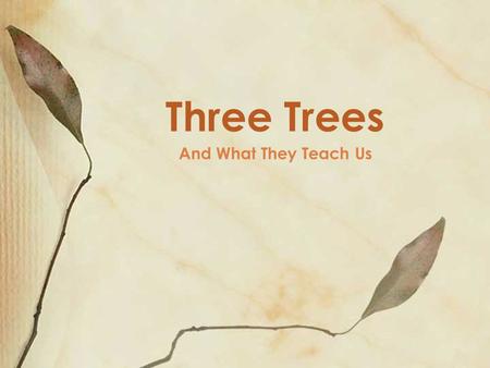 And What They Teach Us Three Trees. Tree #1 the Garden, in Eden the tree of the knowledge of good and evil (Gen 2.9, 17) ◦ the tree served as God’s way.