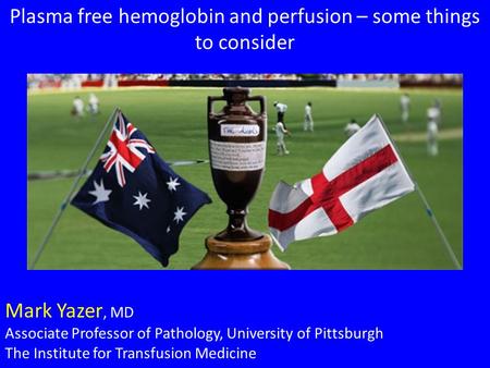 Plasma free hemoglobin and perfusion – some things to consider Mark Yazer, MD Associate Professor of Pathology, University of Pittsburgh The Institute.