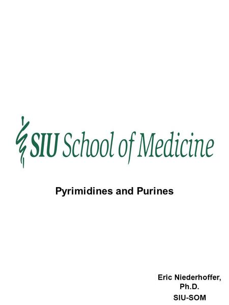 Eric Niederhoffer, Ph.D. SIU-SOM Pyrimidines and Purines.