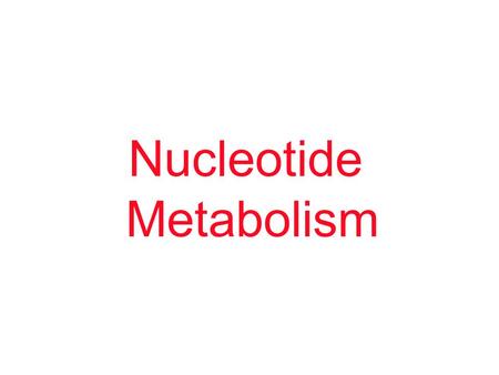 Nucleotide Metabolism.