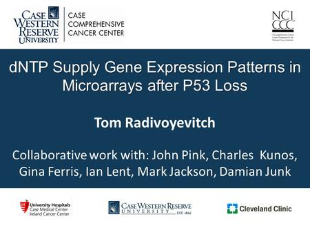 DNTP Supply Gene Expression Patterns in Microarrays after P53 Loss dNTP Supply Gene Expression Patterns in Microarrays after P53 Loss Tom Radivoyevitch.