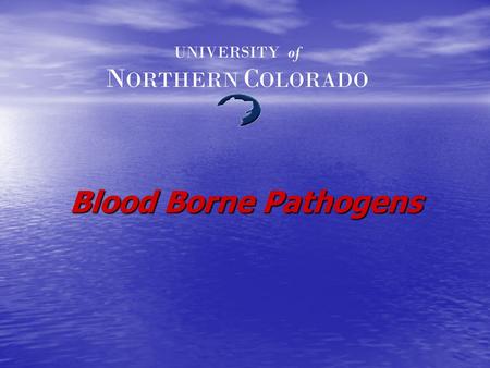 Blood Borne Pathogens UNIVERSITY of N ORTHERN C OLORADO.