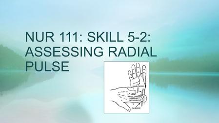 NUR 111: SKILL 5-2: ASSESSING RADIAL PULSE. ASSESSING RADIAL PULSE  The strength or amplitude of a pulse reflects the volume of blood ejected against.
