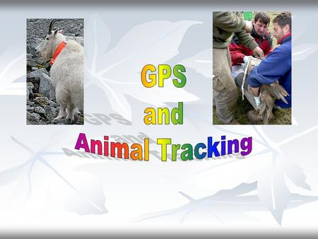 Using radio tags to study the physiology, behavior, and demography of animals Telemetry- the transmission of information through the atmosphere usually.