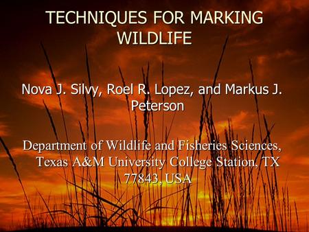 TECHNIQUES FOR MARKING WILDLIFE