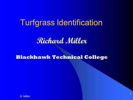 R. Miller 1 Turfgrass Identification Richard Miller Blackhawk Technical College.