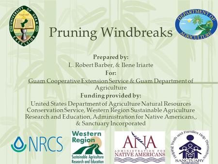 Pruning Windbreaks Prepared by: L. Robert Barber, & Ilene Iriarte For: Guam Cooperative Extension Service & Guam Department of Agriculture Funding provided.