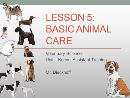 LESSON 5: BASIC ANIMAL CARE Veterinary Science Unit – Kennel Assistant Training Mr. Dieckhoff.