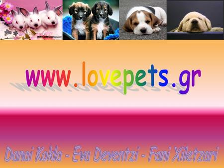 Our site This site is created to help you take a good care of your pets and learn the characteristics and their habits. We also provide a pansion for.