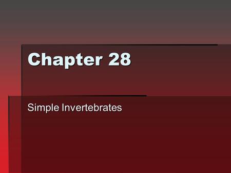 Chapter 28 Simple Invertebrates.