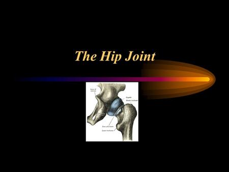 The Hip Joint.