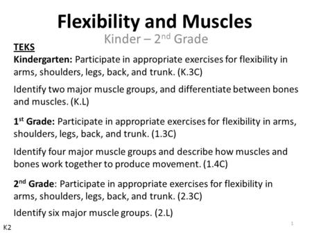 TEKS Kindergarten: Participate in appropriate exercises for flexibility in arms, shoulders, legs, back, and trunk. (K.3C) Identify two major muscle groups,