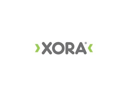 1. 2 Xora for the Public Sector 2 Government agencies and other public organizations face growing pressure to deliver higher levels of service, even as.