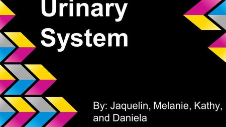 Urinary System By: Jaquelin, Melanie, Kathy, and Daniela.