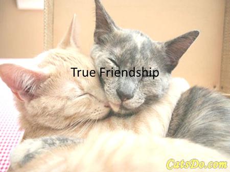 True Friendship. Friendship – the God Way We all have friends, spanning the spectrum of BFF to casual acquaintance The single largest destroyer of friendships.