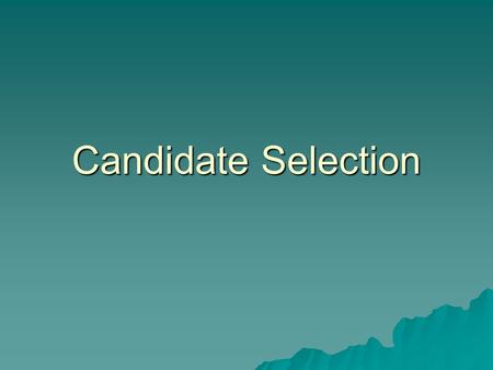 Candidate Selection. Personnel Process 1. Development of the job description 2. Creation of the job announcement 3. Candidate recruitment 4. Candidate.