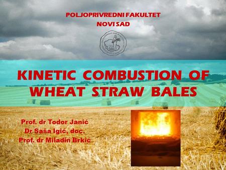 KINETIC COMBUSTION OF WHEAT STRAW BALES