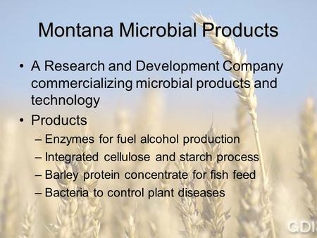 Montana Microbial Products A Research and Development Company commercializing microbial products and technology Products –Enzymes for fuel alcohol production.