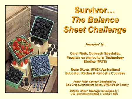 Survivor… The Balance Sheet Challenge Presented by: Carol Roth, Outreach Specialist, Program on Agricultural Technology Studies (PATS) Rose Skora, UWEX.