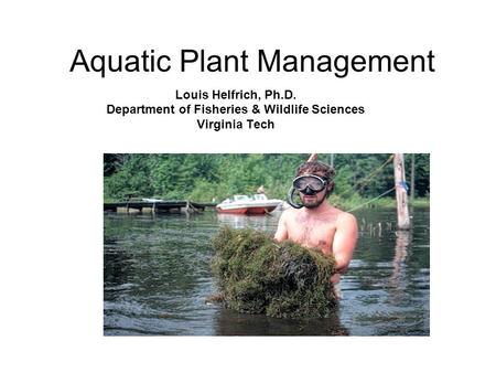 Aquatic Plant Management Louis Helfrich, Ph.D. Department of Fisheries & Wildlife Sciences Virginia Tech.