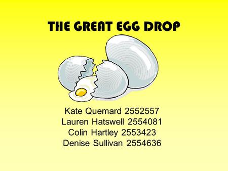 THE GREAT EGG DROP Kate Quemard 2552557 Lauren Hatswell 2554081 Colin Hartley 2553423 Denise Sullivan 2554636.