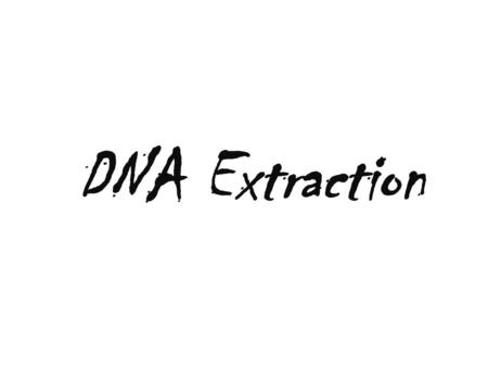 DNA Extraction. Materials for all trials Sodium Chloride Enzymatic contact lens cleaner Graduated Cylinder Fresh tomato Stirring straw Wheat germ Magnetic.
