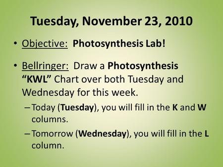Tuesday, November 23, 2010 Objective: Photosynthesis Lab!