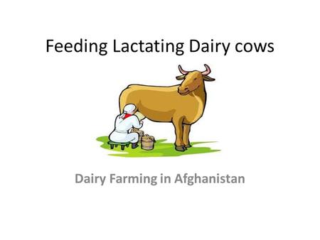 Unit 9: Dairy Cattle Feeding - ppt video online download