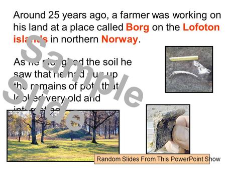 Around 25 years ago, a farmer was working on his land at a place called Borg on the Lofoton islands in northern Norway. As he ploughed the soil he saw.