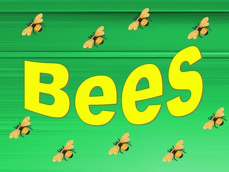 Bees.