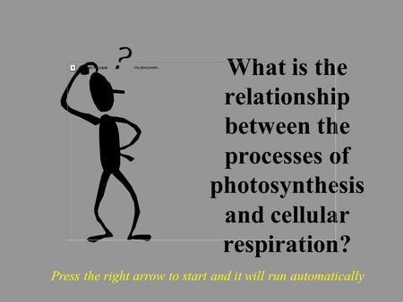 What is the relationship between the processes of photosynthesis and cellular respiration? Press the right arrow to start and it will run automatically.