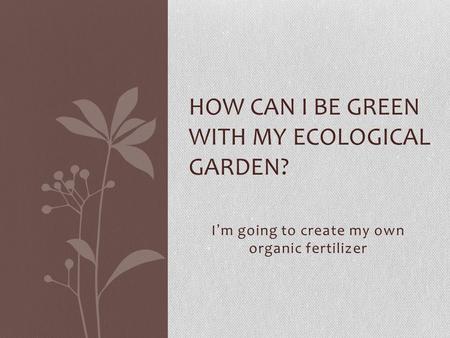 I’m going to create my own organic fertilizer HOW CAN I BE GREEN WITH MY ECOLOGICAL GARDEN?
