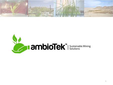 1. About us Ambiotek SpA, is a spin off from Universidad de Santiago de Chile, that develops and offers environmental solutions for the mining industry.