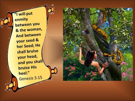 “I will put enmity between you & the woman, And between your seed & her Seed; He shall bruise your head, and you shall bruise His heel.” Genesis 3:15.