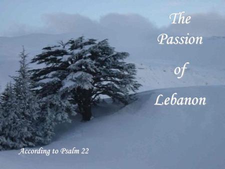 The Passion ofLebanon According to Psalm 22 My God, my God, why hast thou forsaken me? why hast thou forsaken me?