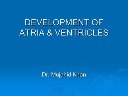 DEVELOPMENT OF ATRIA & VENTRICLES