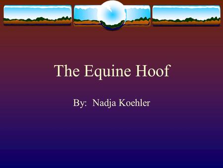 The Equine Hoof By: Nadja Koehler.