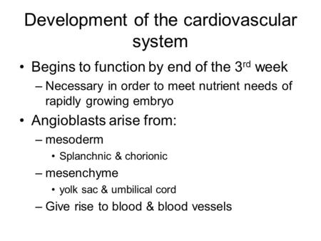 Development of the cardiovascular system