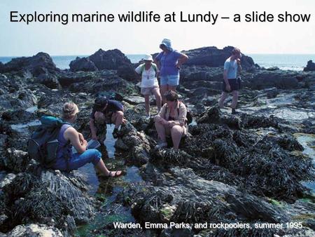 Warden, Emma Parks, and rockpoolers, summer 1995 Exploring marine wildlife at Lundy – a slide show.