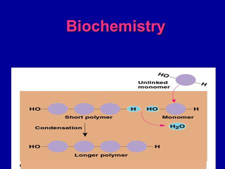 Biochemistry. Macromolecules (large molecules):  Carbohydrates  Lipids  Proteins  Nucleic Acids These are Polymers ( many parts) constructed of Monomers.