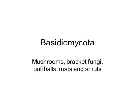 Basidiomycota Mushrooms, bracket fungi, puffballs, rusts and smuts.