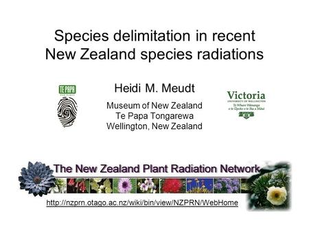 Species delimitation in recent New Zealand species radiations Heidi M. Meudt Museum of New Zealand Te Papa Tongarewa Wellington, New Zealand