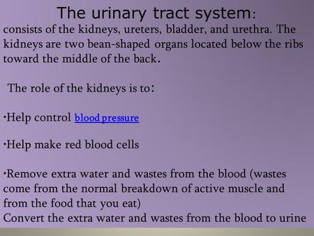 The urinary tract system: