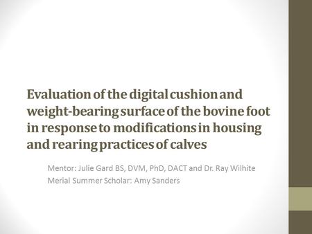 Evaluation of the digital cushion and weight-bearing surface of the bovine foot in response to modifications in housing and rearing practices of calves.