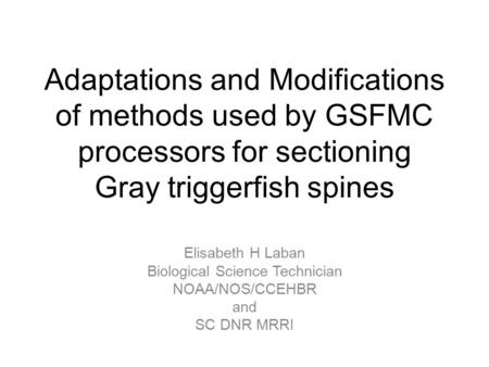 Adaptations and Modifications of methods used by GSFMC processors for sectioning Gray triggerfish spines Elisabeth H Laban Biological Science Technician.